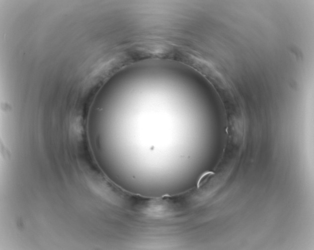X0000091240612200708091436