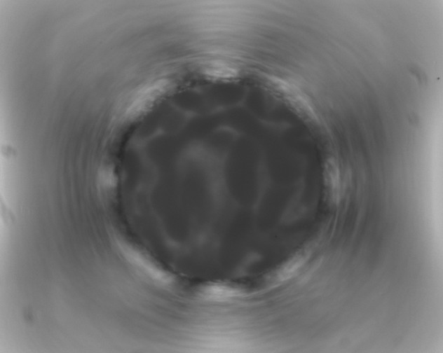 X0000091240614200708091436