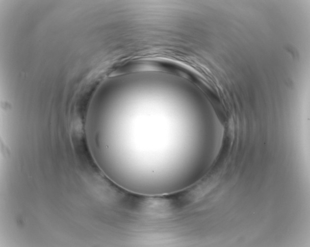 X0000091240617200708091436