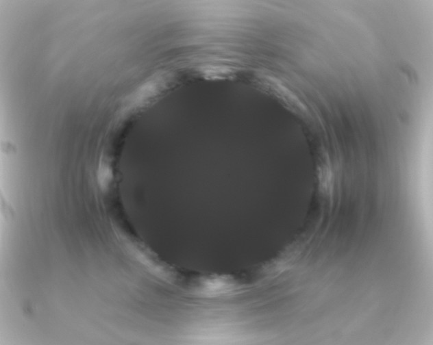 X0000091240618200708091436
