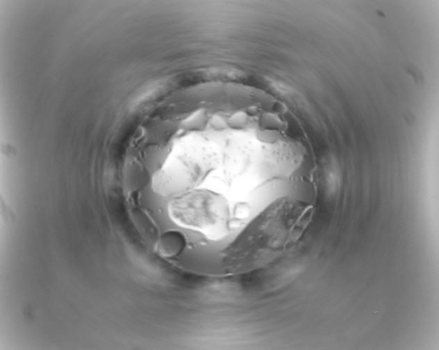 X0000091240619200708091436