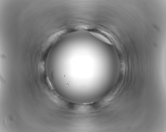 X0000091240621200708091436
