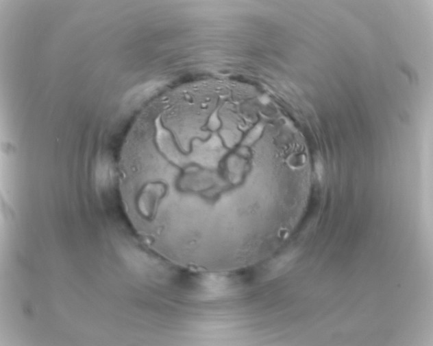 X0000091240623200708091436