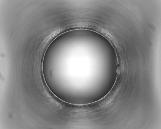 X0000091240625200708091436