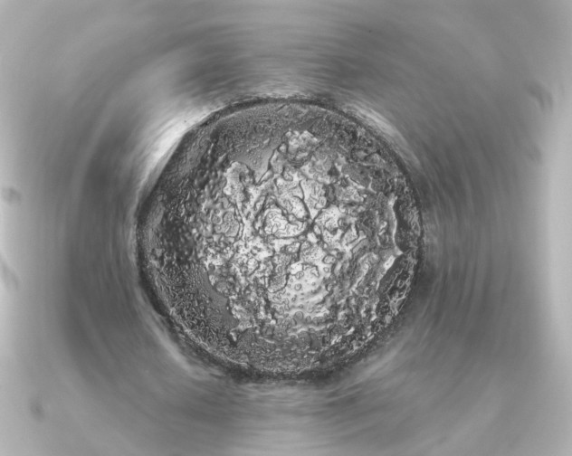 X0000091240626200708091436