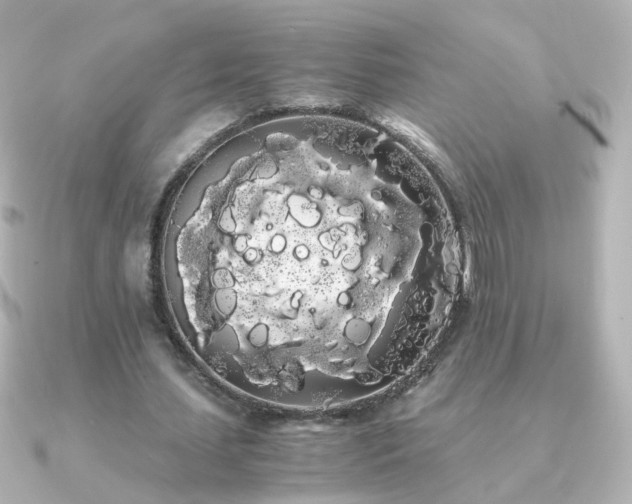 X0000091240627200708091436