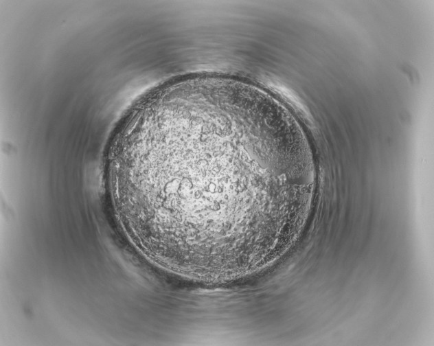 X0000091240628200708091436