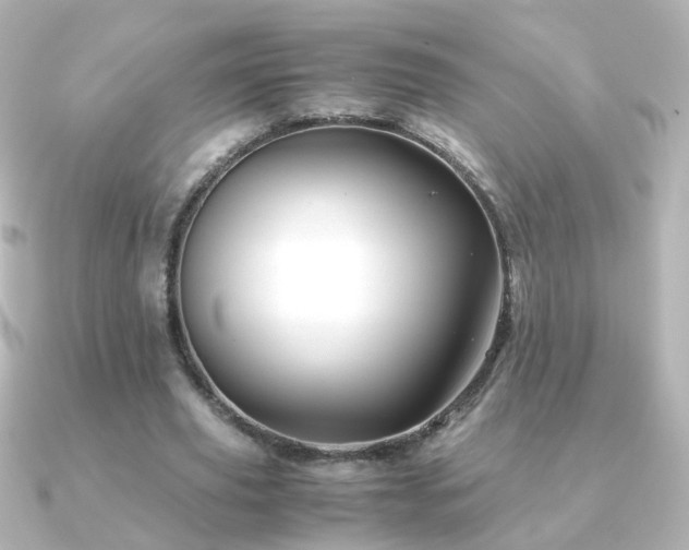 X0000091240629200708091436