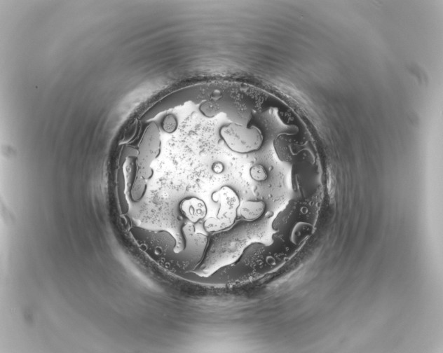 X0000091240630200708091436