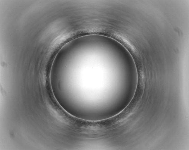 X0000091240631200708091436
