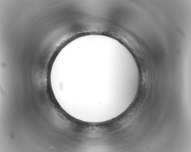 X0000091240632200708091436