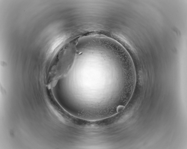 X0000091240634200708091436