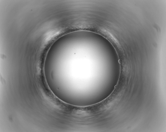 X0000091240635200708091436