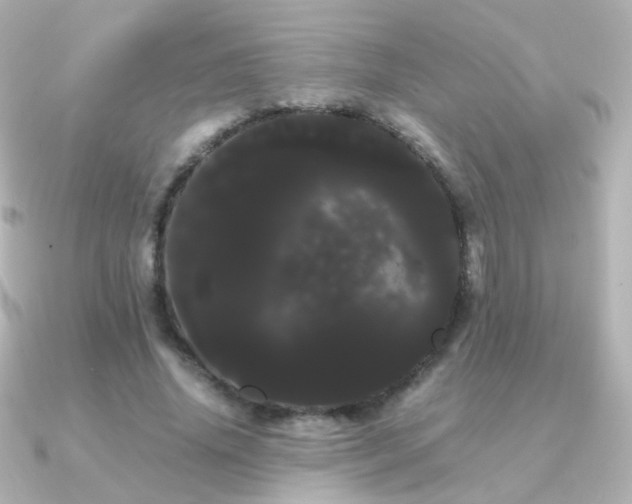 X0000091240636200708091436