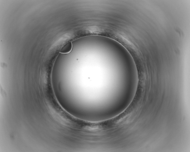 X0000091240639200708091436