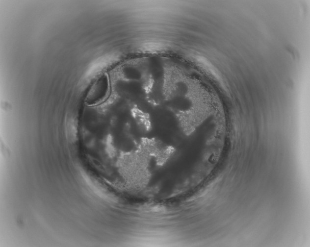 X0000091240640200708091436