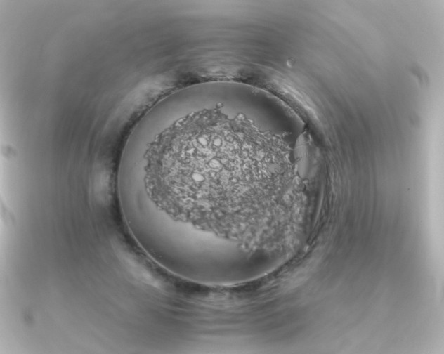 X0000091240641200708091436