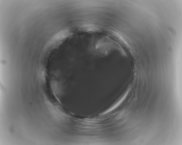 X0000091240643200708091436