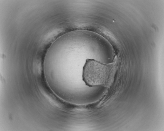 X0000091240644200708091436