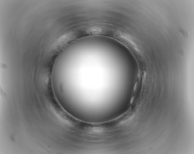X0000091240645200708091436