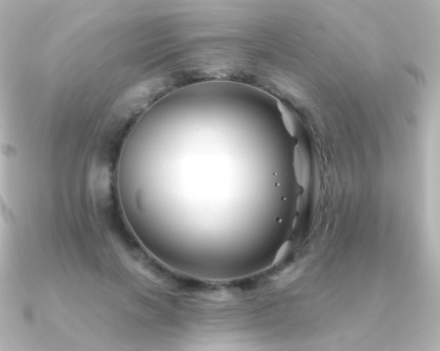 X0000091240646200708091436