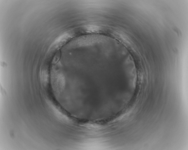 X0000091240648200708091436