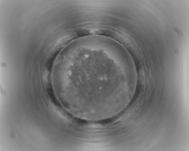 X0000091240650200708091436