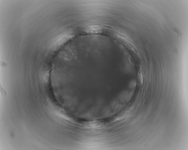 X0000091240652200708091436