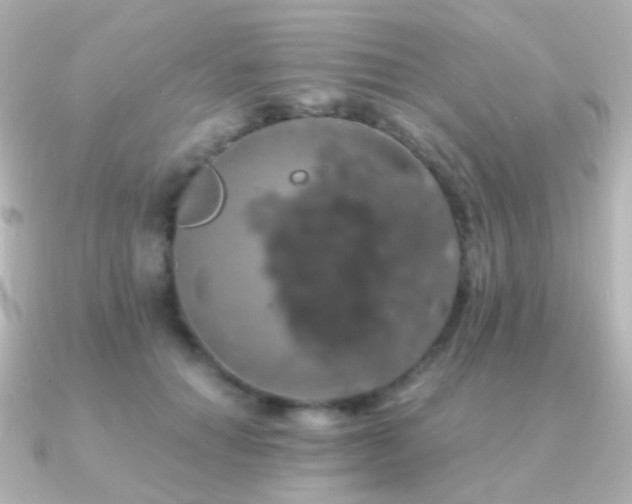 X0000091240654200708091436