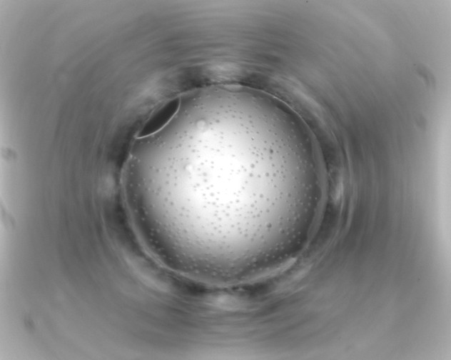X0000091240655200708091436