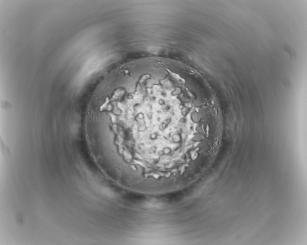X0000091240656200708091436