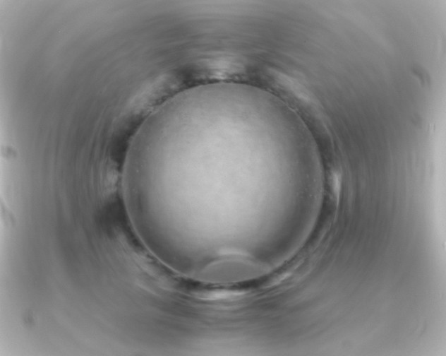 X0000091240657200708091436
