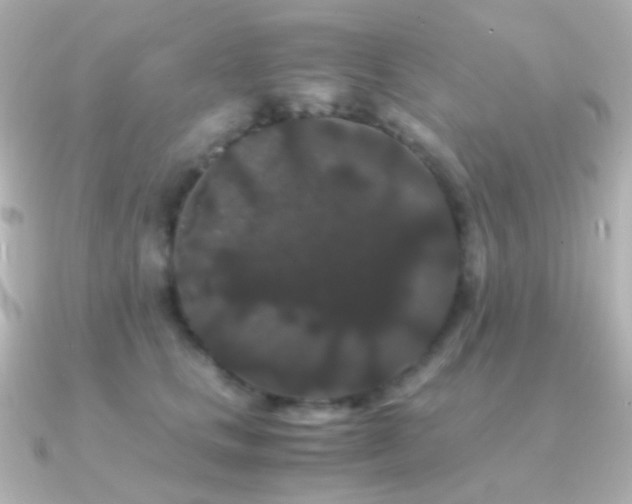 X0000091240661200708091436