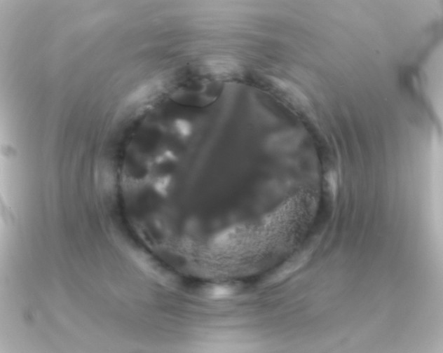 X0000091240662200708091436