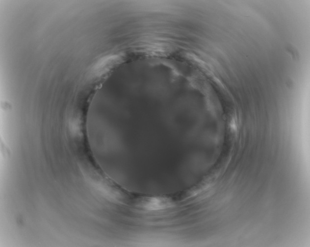 X0000091240663200708091436