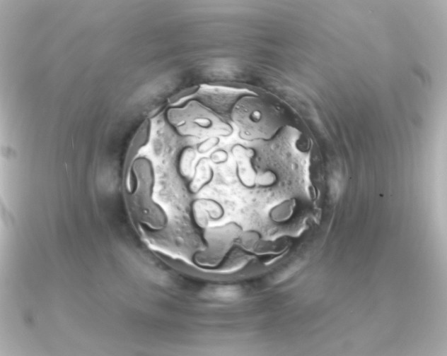 X0000091240665200708091436