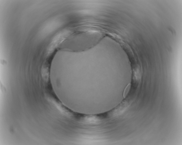 X0000091240666200708091436