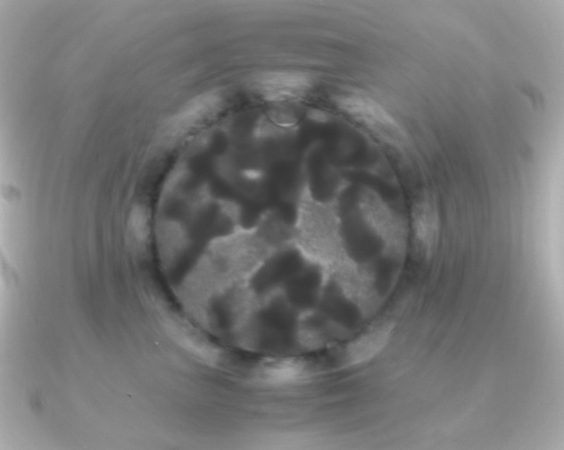 X0000091240667200708091436