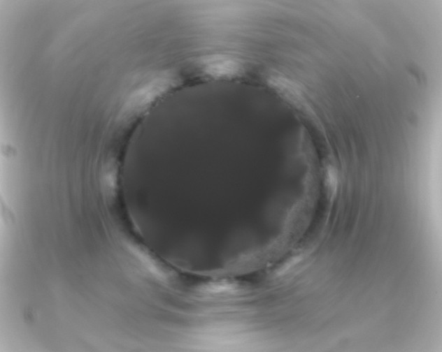 X0000091240668200708091436