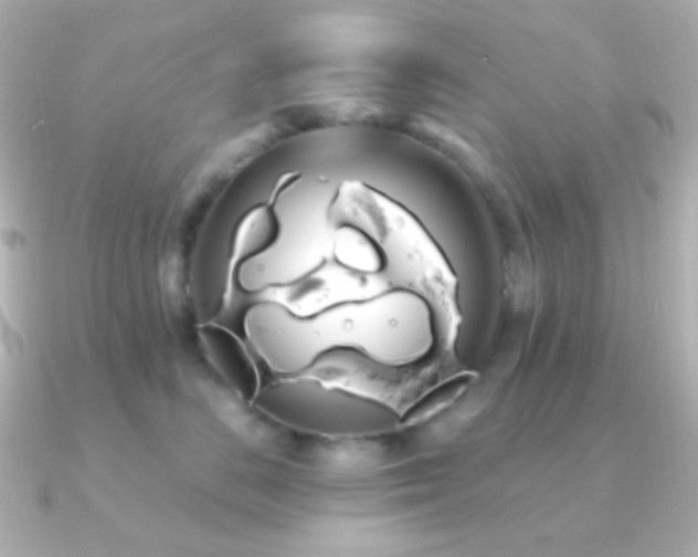 X0000091240670200708091436