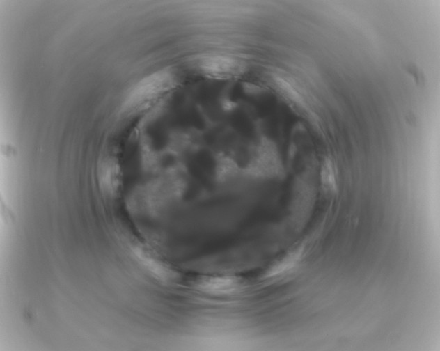 X0000091240671200708091436
