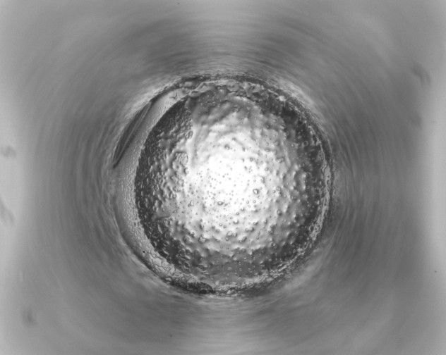 X0000091240673200708091436