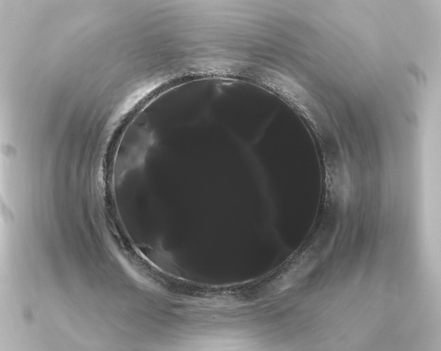 X0000091240674200708091436