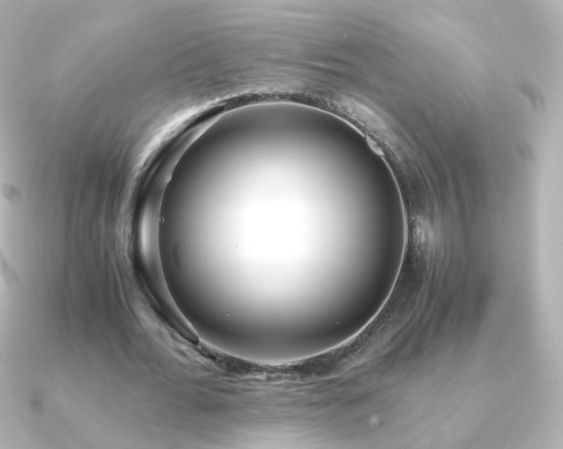 X0000091240676200708091436