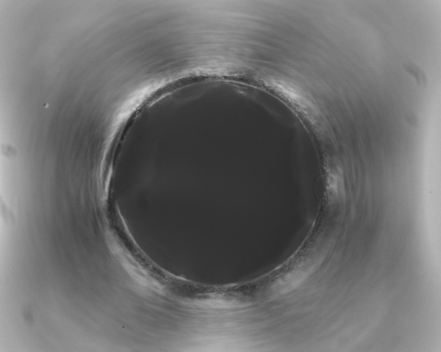 X0000091240678200708091436