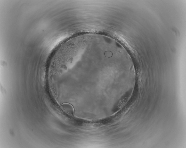 X0000091240679200708091436