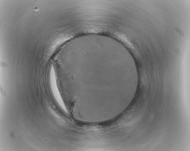 X0000091240683200708091436