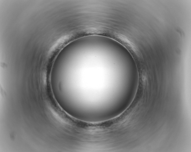 X0000091240686200708091436