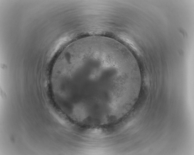 X0000091240687200708091436
