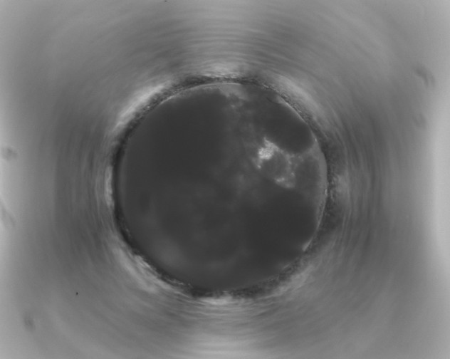 X0000091240688200708091436